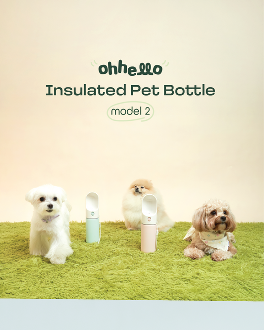 Oh Hello Insulated Travel Pet Bottle, a hydration accessory available at Le Bubu Pets' Super Barket corner, 4F Spatio, Opus Mall