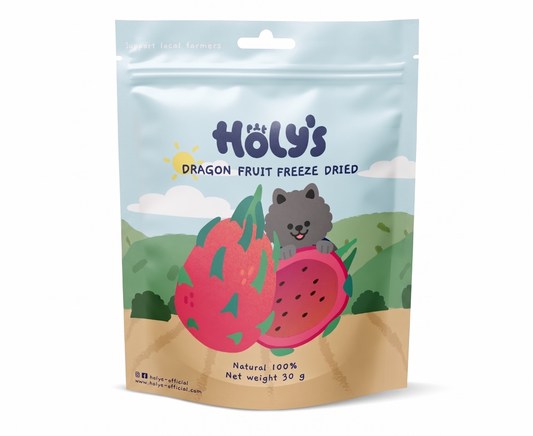 Holy's Dragon Fruit freeze-dried plant-based pet treat — clean single-ingredient snacks at Le Bubu Pets Philippines