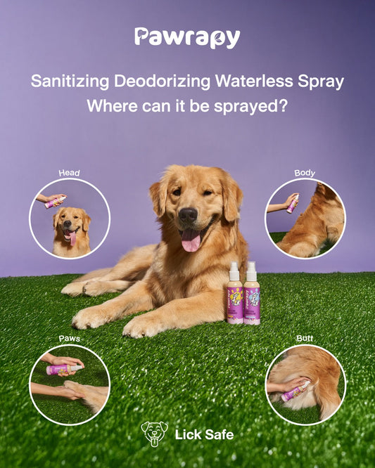 Advanced Relief and Protection: The Pawrapy Safety Standard