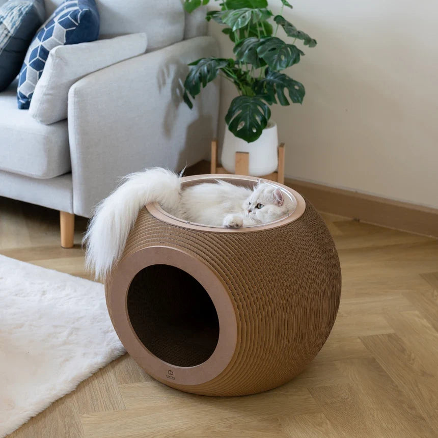 Carton Connection Obitron Compact, an aesthetic cardboard cat scratcher and cat house available at Le Bubu Pets Philippines
