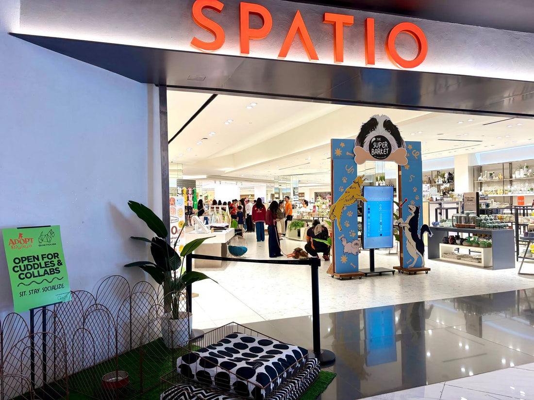 Le Bubu Pets Pops Up at The Super Barket, Spatio Opus Mall: Shop Your Furbaby's Favorites in Person