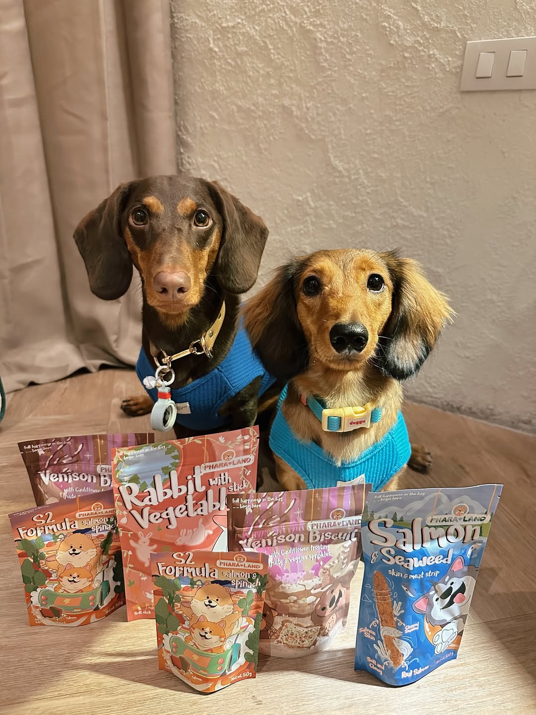 Assortment of PharaLand freeze-dried pet treats for dogs and cats. Single-ingredient, high-protein collection.