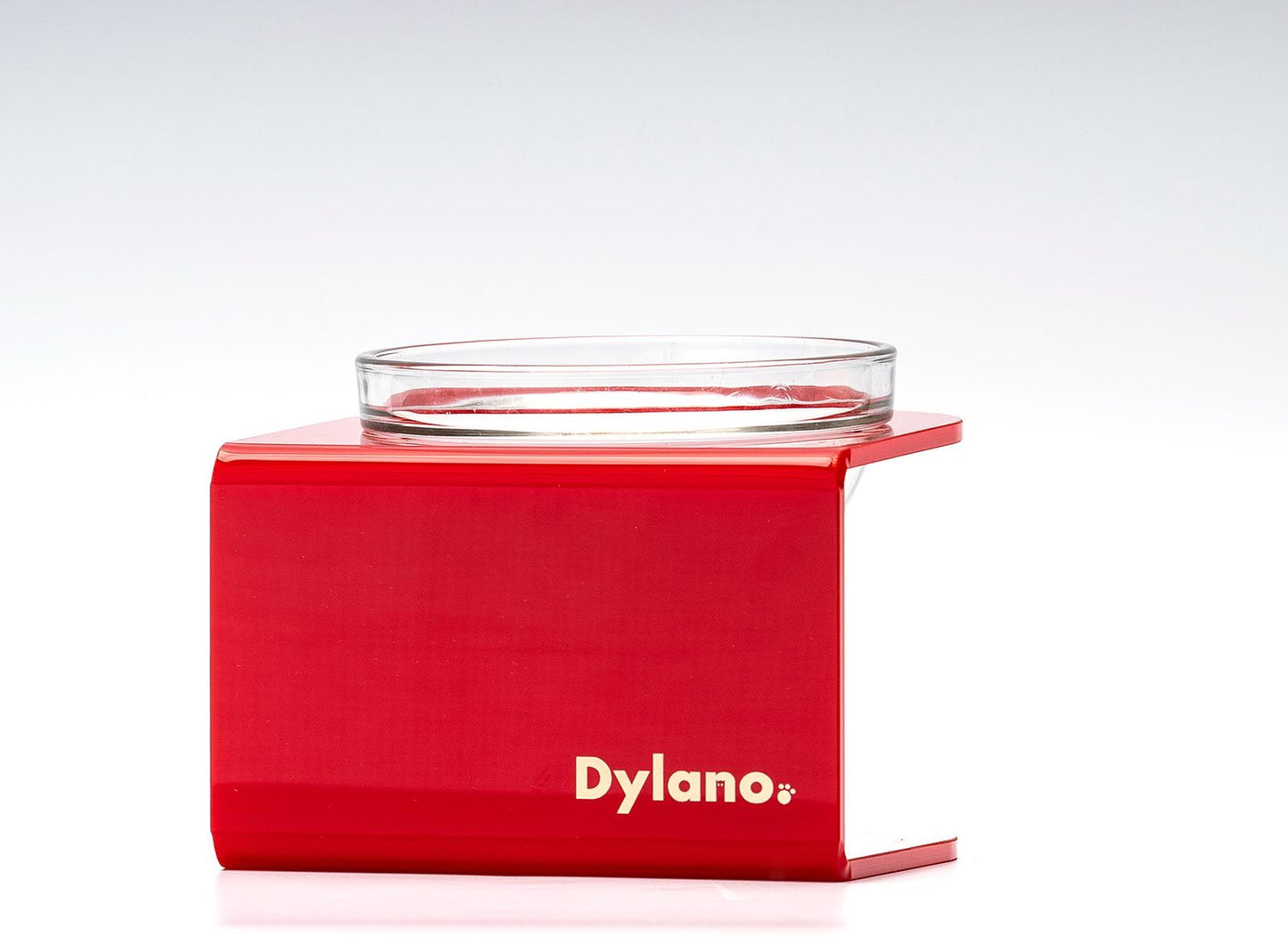Dylano Studio - S/M (Semi-Medium), Elevated Stainless Bowl