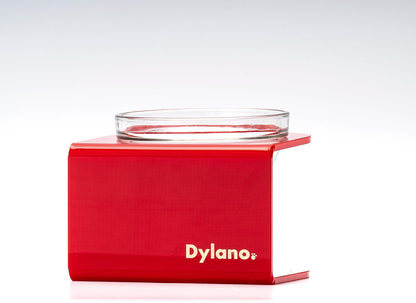 Dylano Studio - S/M (Semi-Medium), Elevated Stainless Bowl