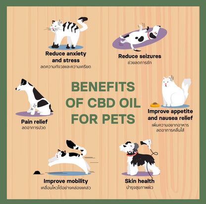 Pet Dee - Premium CBD Oil for Pets