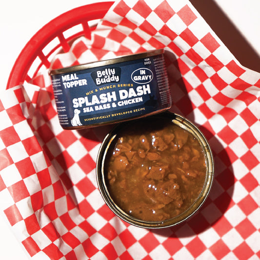 Belly Buddy Mix & Munch Series - Splash Dash (Sea Bass & Chicken)