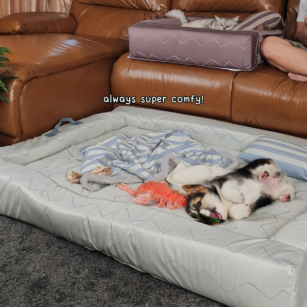 Bed Care for Pet - Comfy Bed Wall