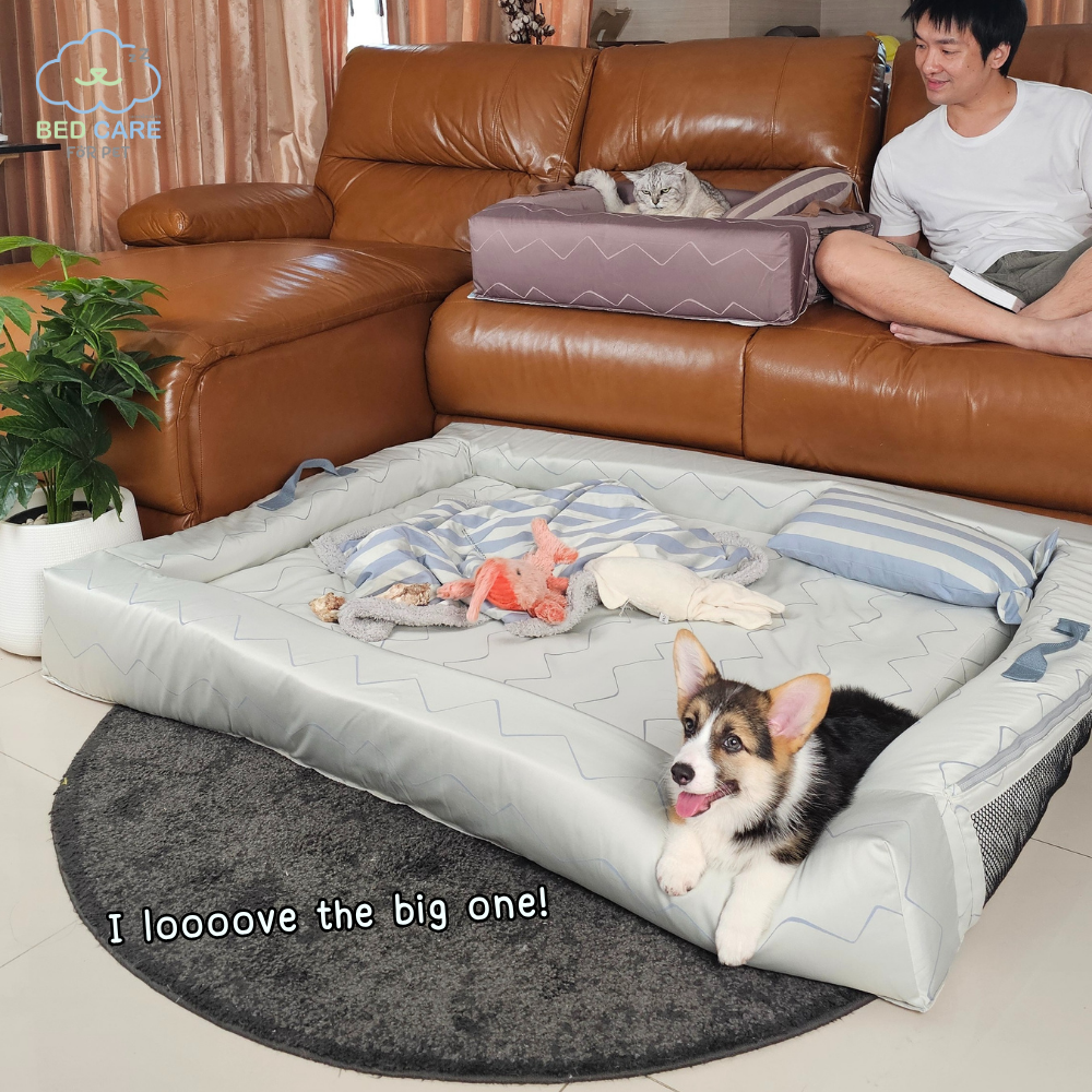 Bed Care for Pet - Comfy Bed Wall