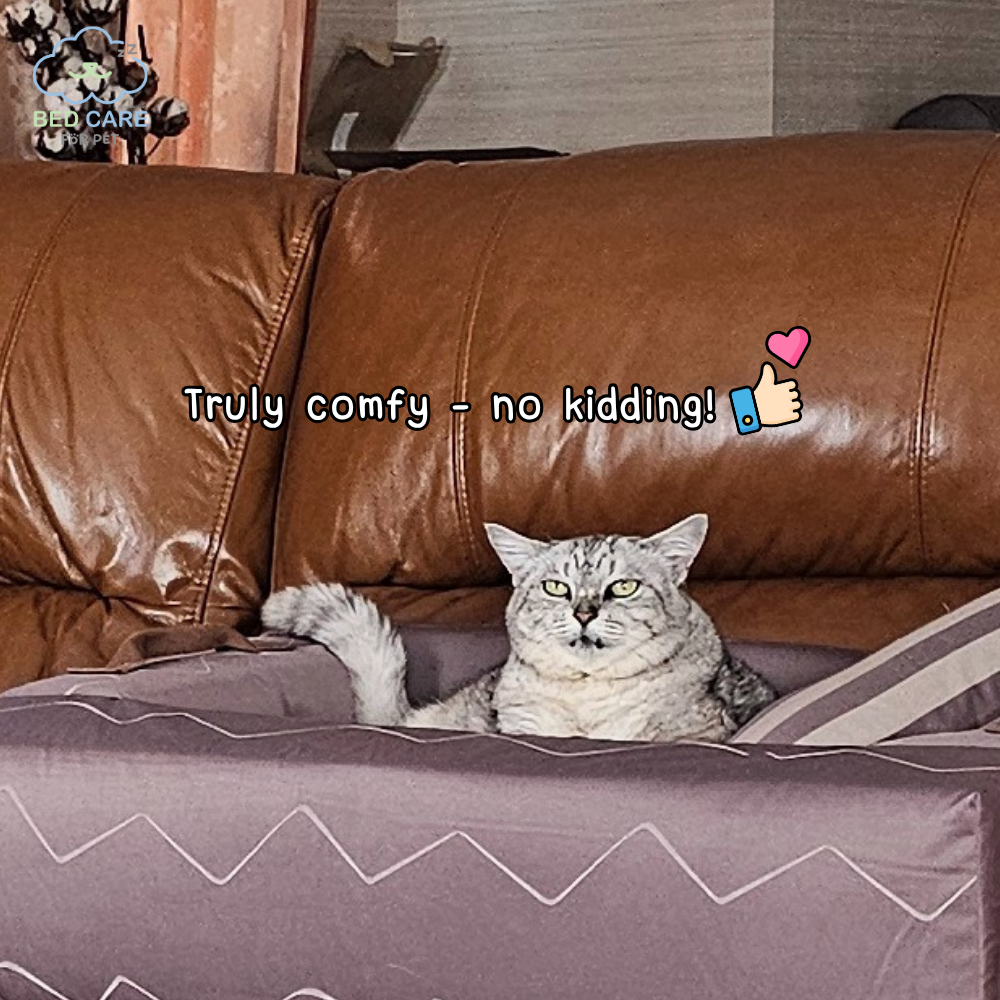Bed Care for Pet - Comfy Bed Wall