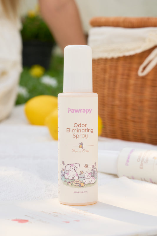 Pawrapy Odor Eliminating Spray: Home Brew (100ml)