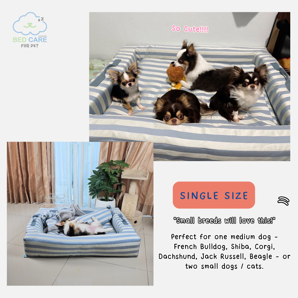 Bed Care for Pet - Comfy Bed Wall