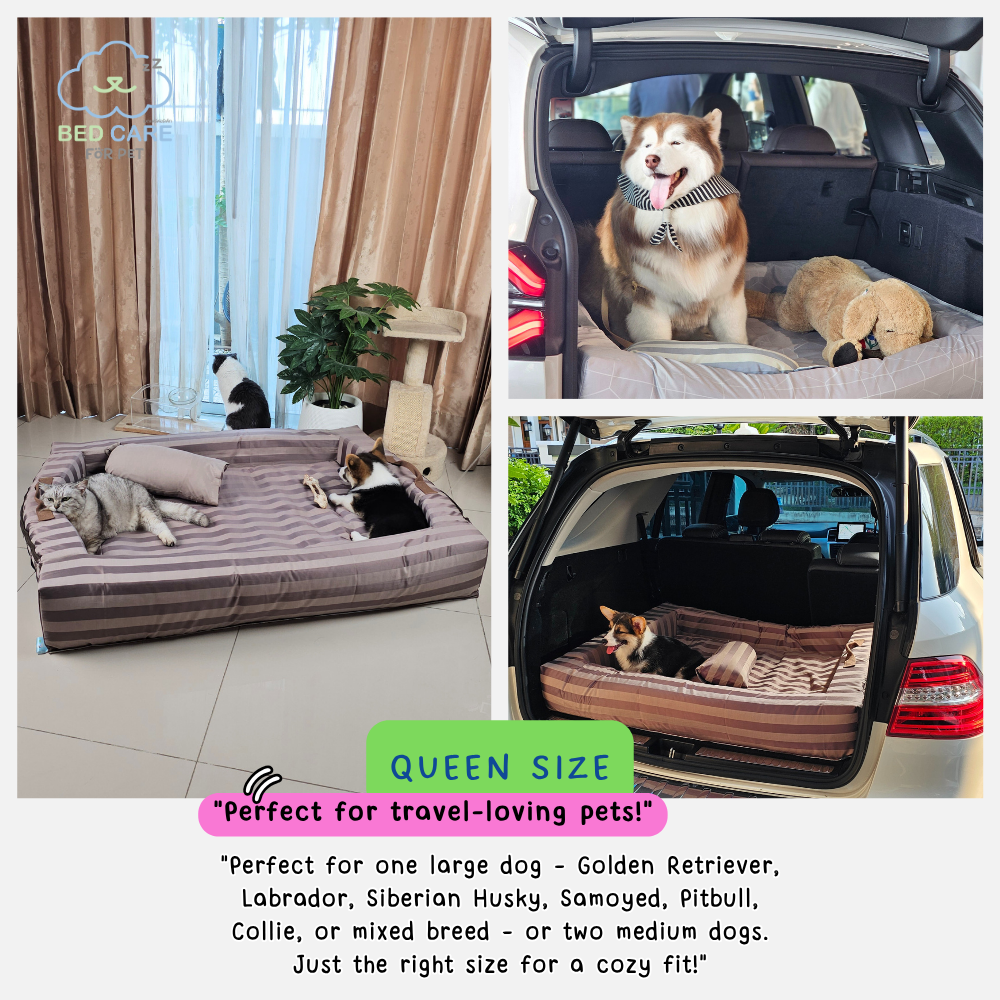 Bed Care for Pet - Comfy Bed Wall