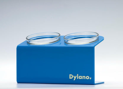 Dylano Studio - Double, Elevated Bowl