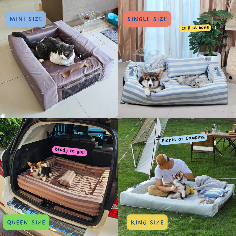 Bed Care for Pet - Comfy Bed Wall
