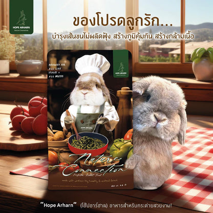 Hope Arharn - Rabbit Food