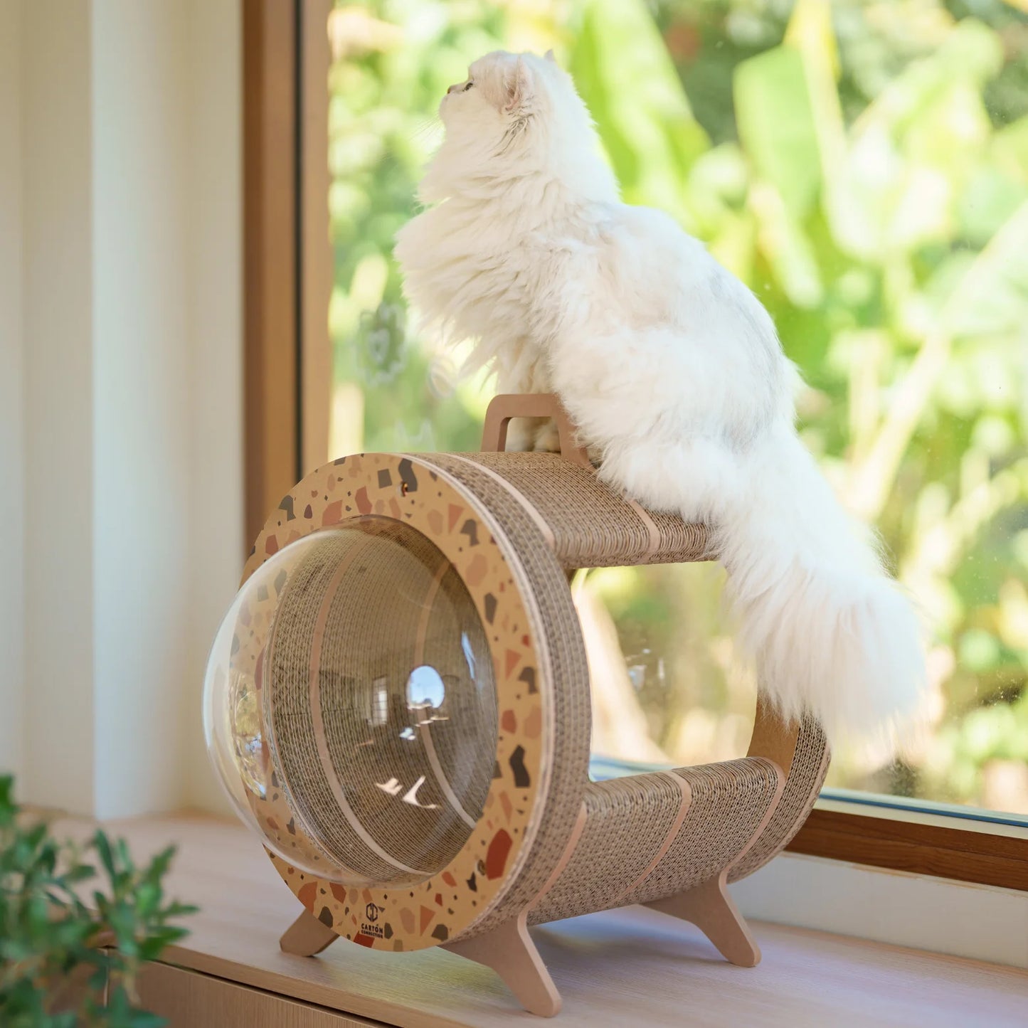 Kitty Space Capsule [Pre-order]
