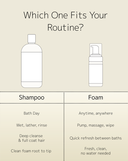 Bubble Bear Dry Foam, Waterless Cleaner