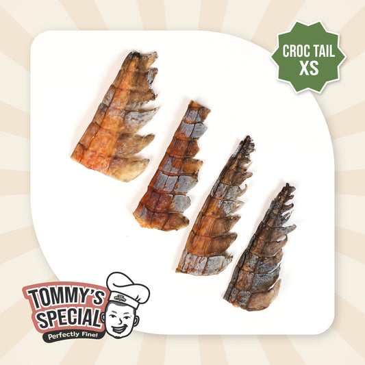 Hoya Barkery Tommy's Special Croc Tail (XS)