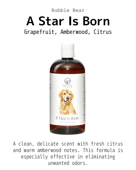 Bubble Bear - Tester Size Shampoo