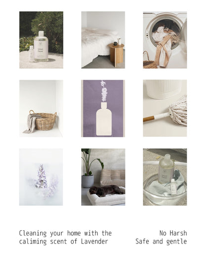 Bubble Bear - Spike Lavender, Multipurpose Cleaner