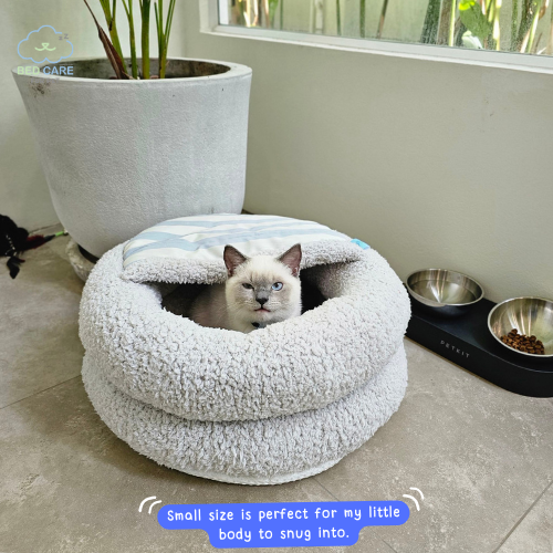 Bed Care for Pet - Salapao Bed [Pre-order]