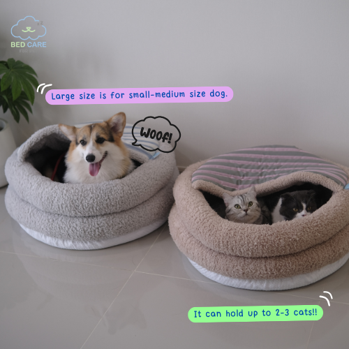 Bed Care for Pet - Salapao Bed [Pre-order]