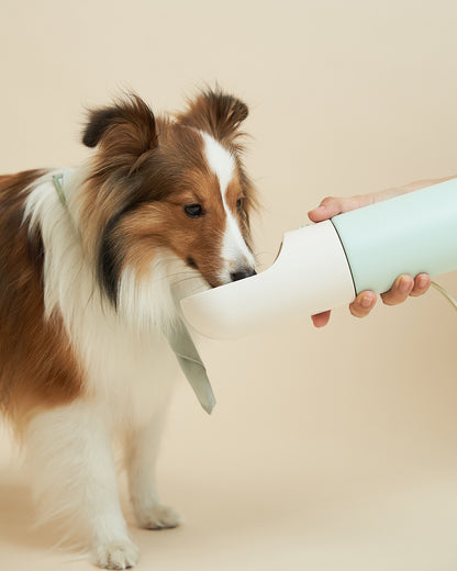Oh Hello Travel Insulated Bottle