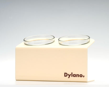 Dylano Studio - Double, Elevated Bowl