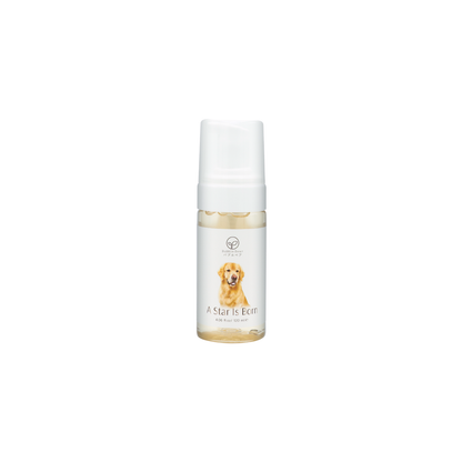 Bubble Bear Dry Foam, Waterless Cleaner