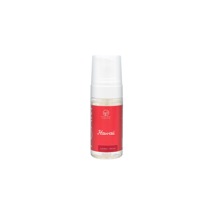 Bubble Bear Dry Foam, Waterless Cleaner