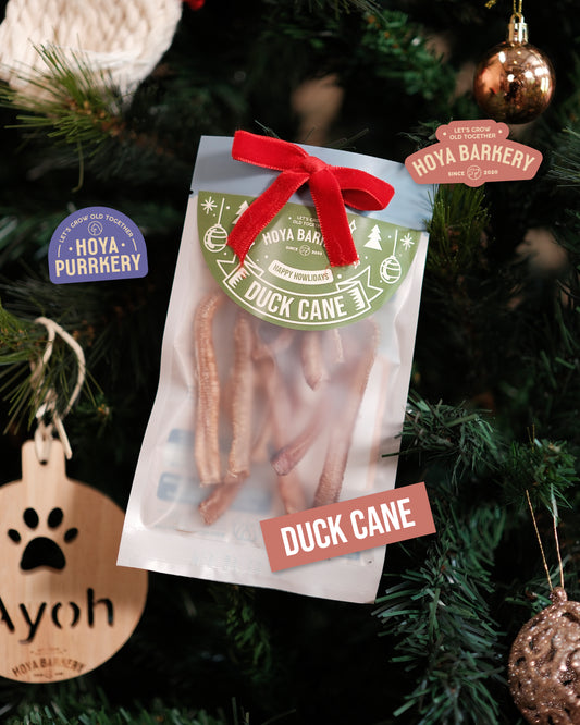 Hoya Barkery - Duck Cane