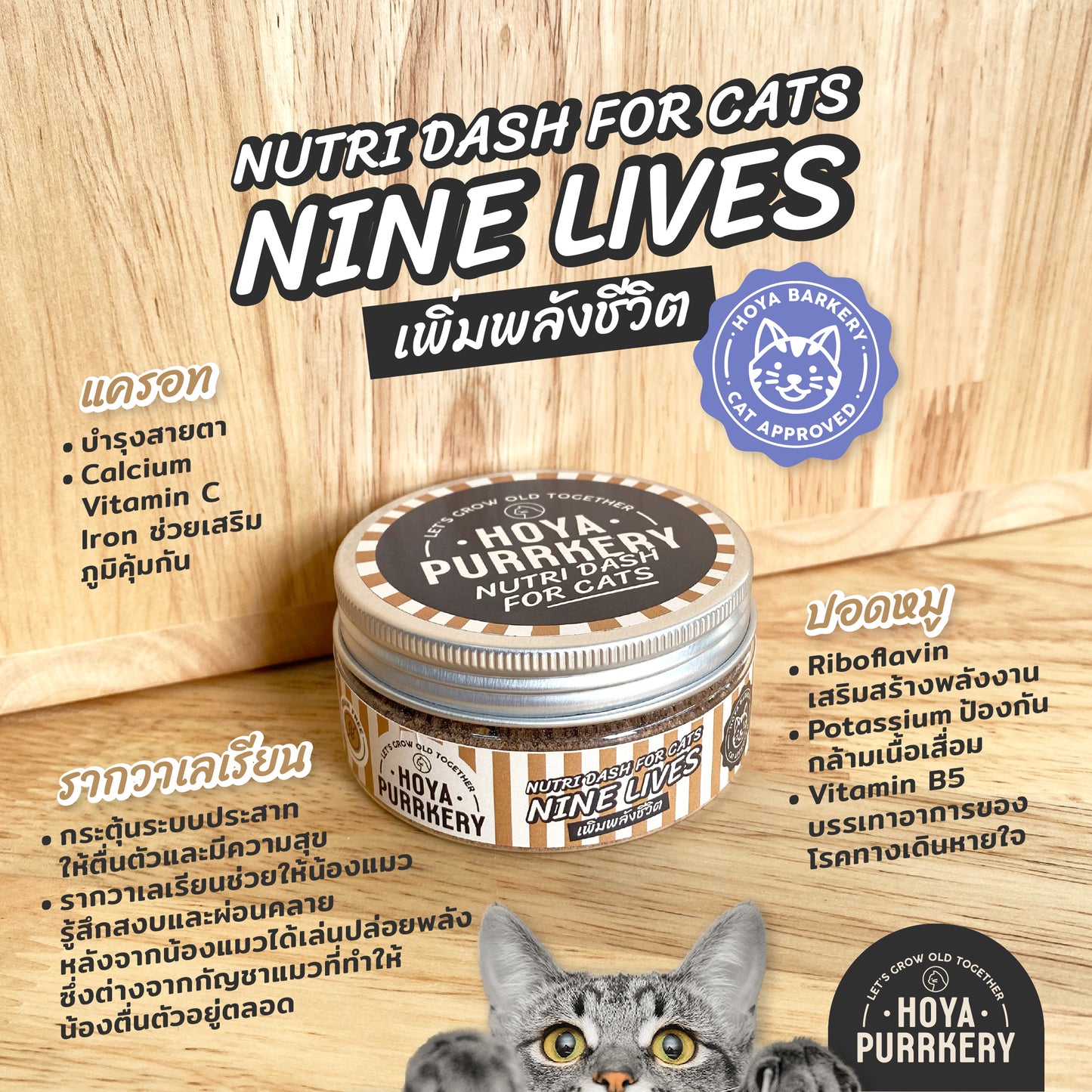 Hoya Purrkery - NutriDash (Cats)