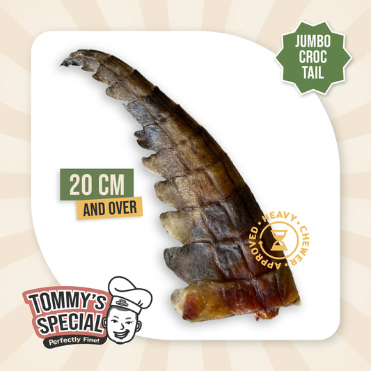Hoya Barkery - Croc Tail Jumbo