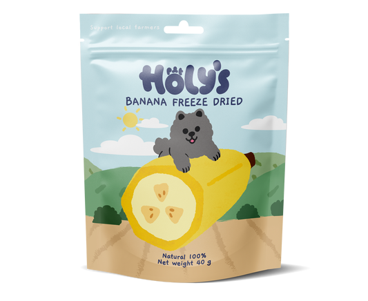 Holy's Banana Freeze-Dried