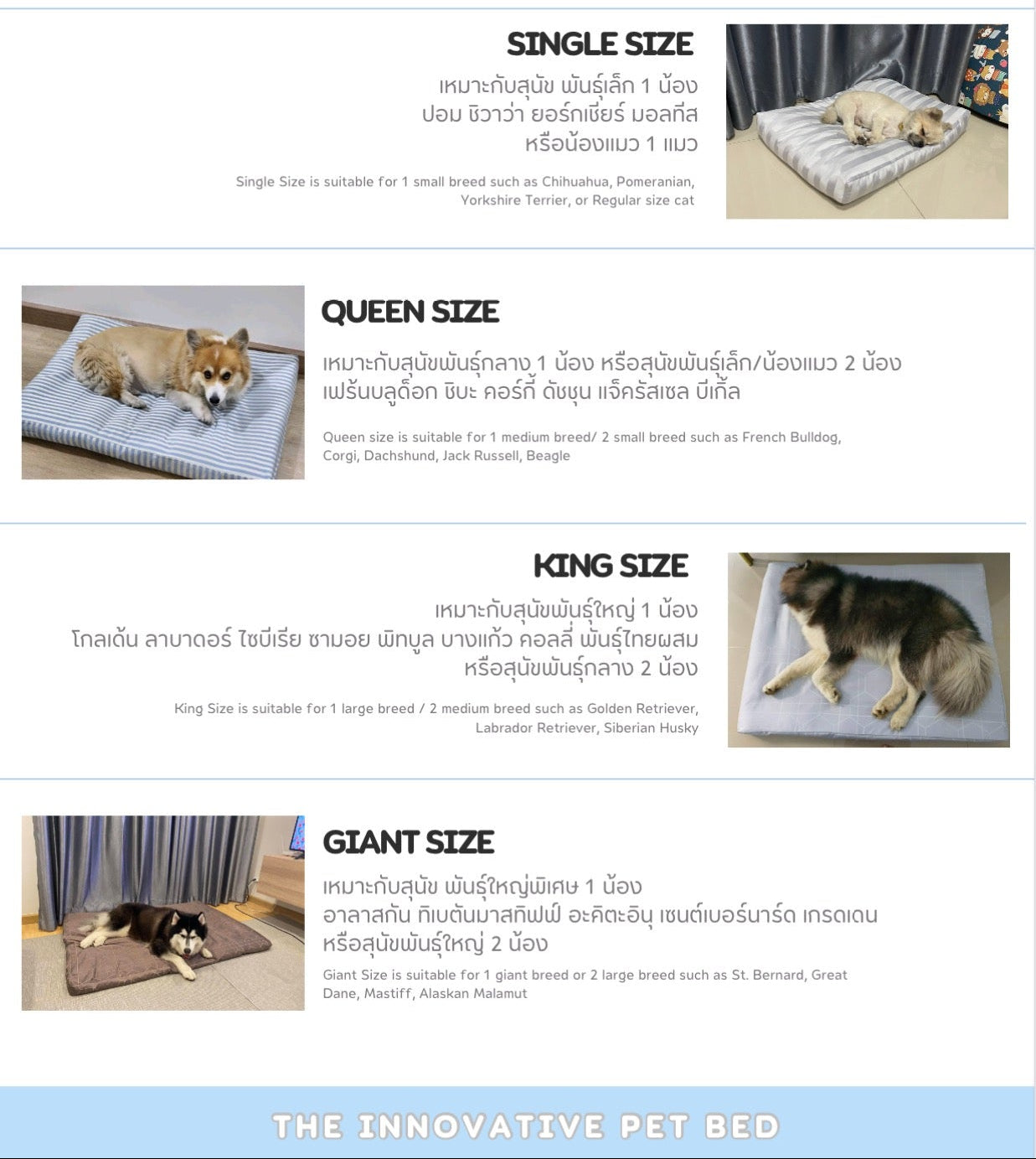 Bed Care for Pet - Basic Bed + Cover