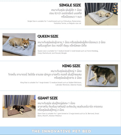 Bed Care for Pet - Basic Bed + Cover