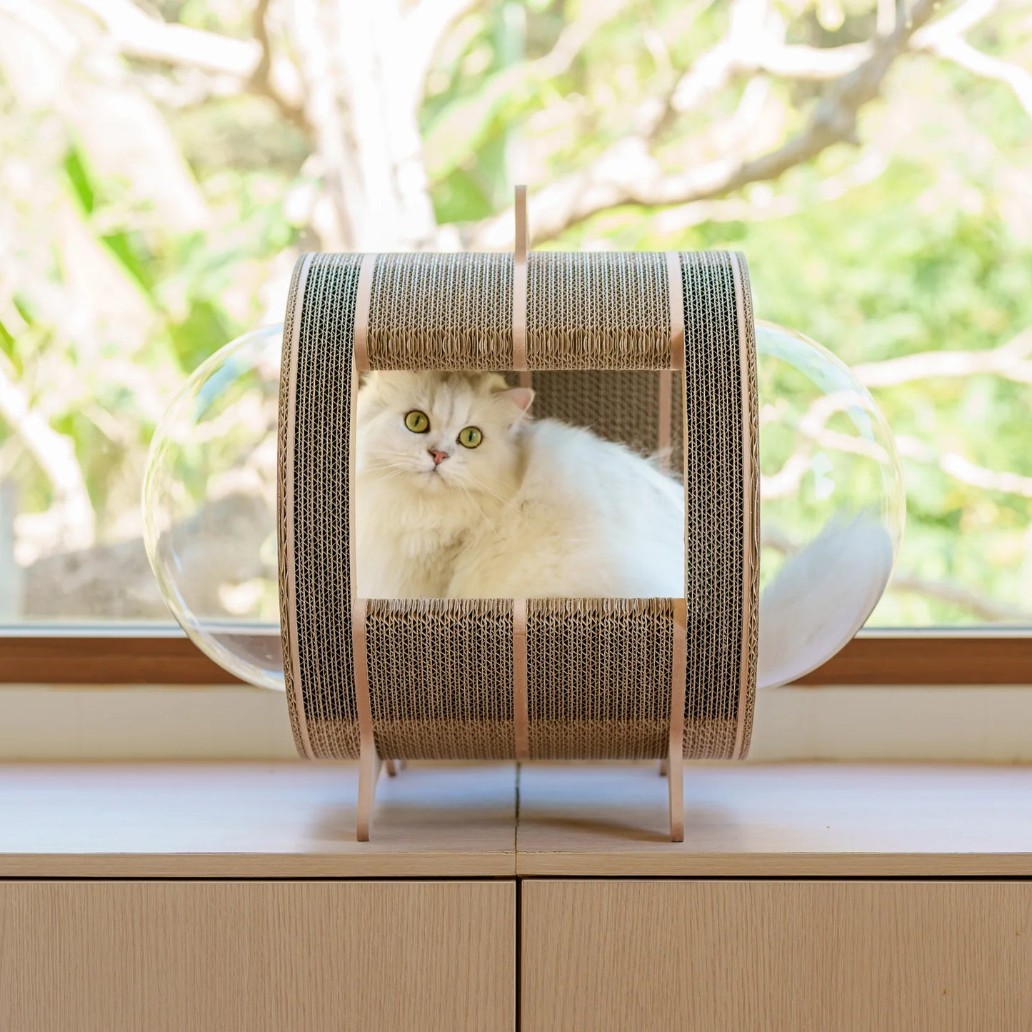Kitty Space Capsule [Pre-order]