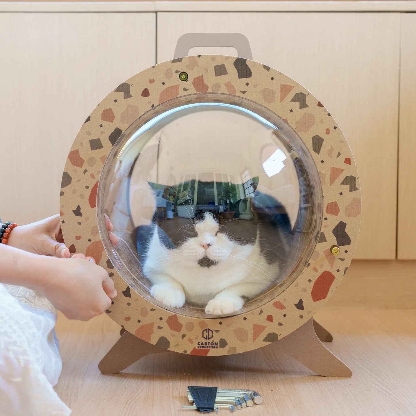 Kitty Space Capsule [Pre-order]