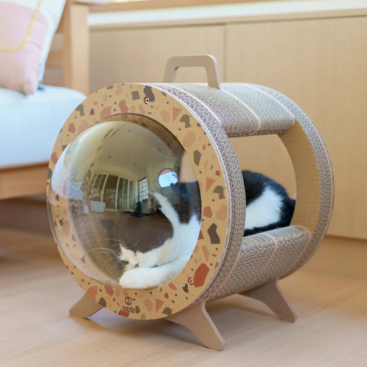 Kitty Space Capsule [Pre-order]