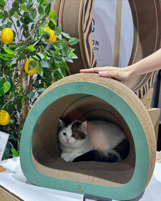 Purrmithor [Pre-order]