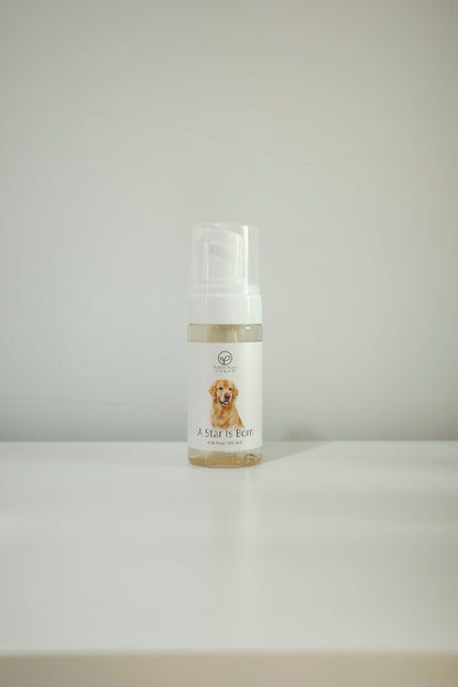 Bubble Bear Dry Foam, Waterless Cleaner