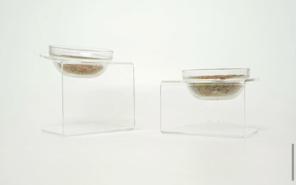 Dylano Studio - Elevated Single Bowl (Small)