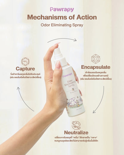 Pawrapy Odor Eliminating Spray: Home Brew (100ml)