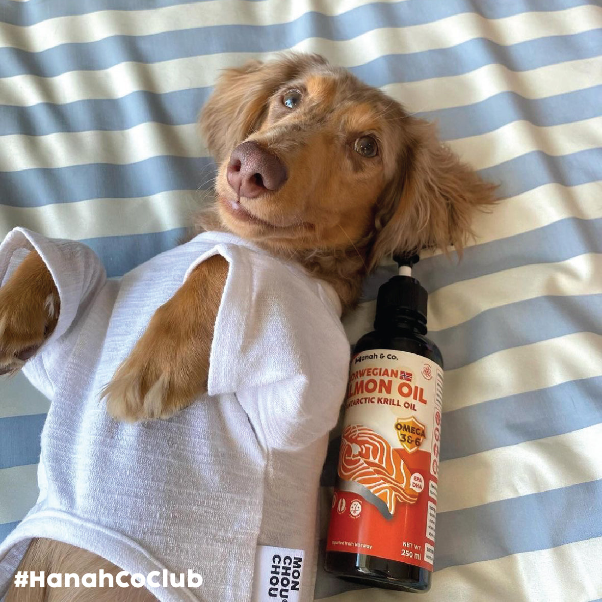 Hanah & Co - Salmon Krill Oil