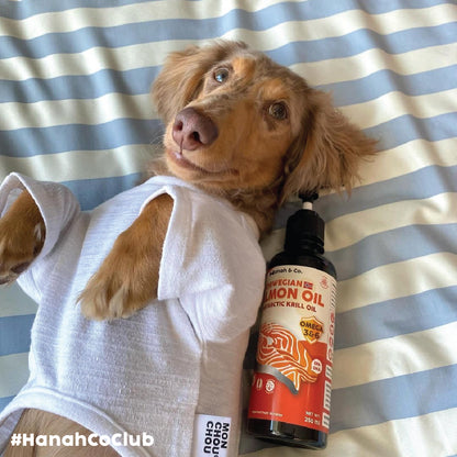 Hanah & Co - Salmon Krill Oil