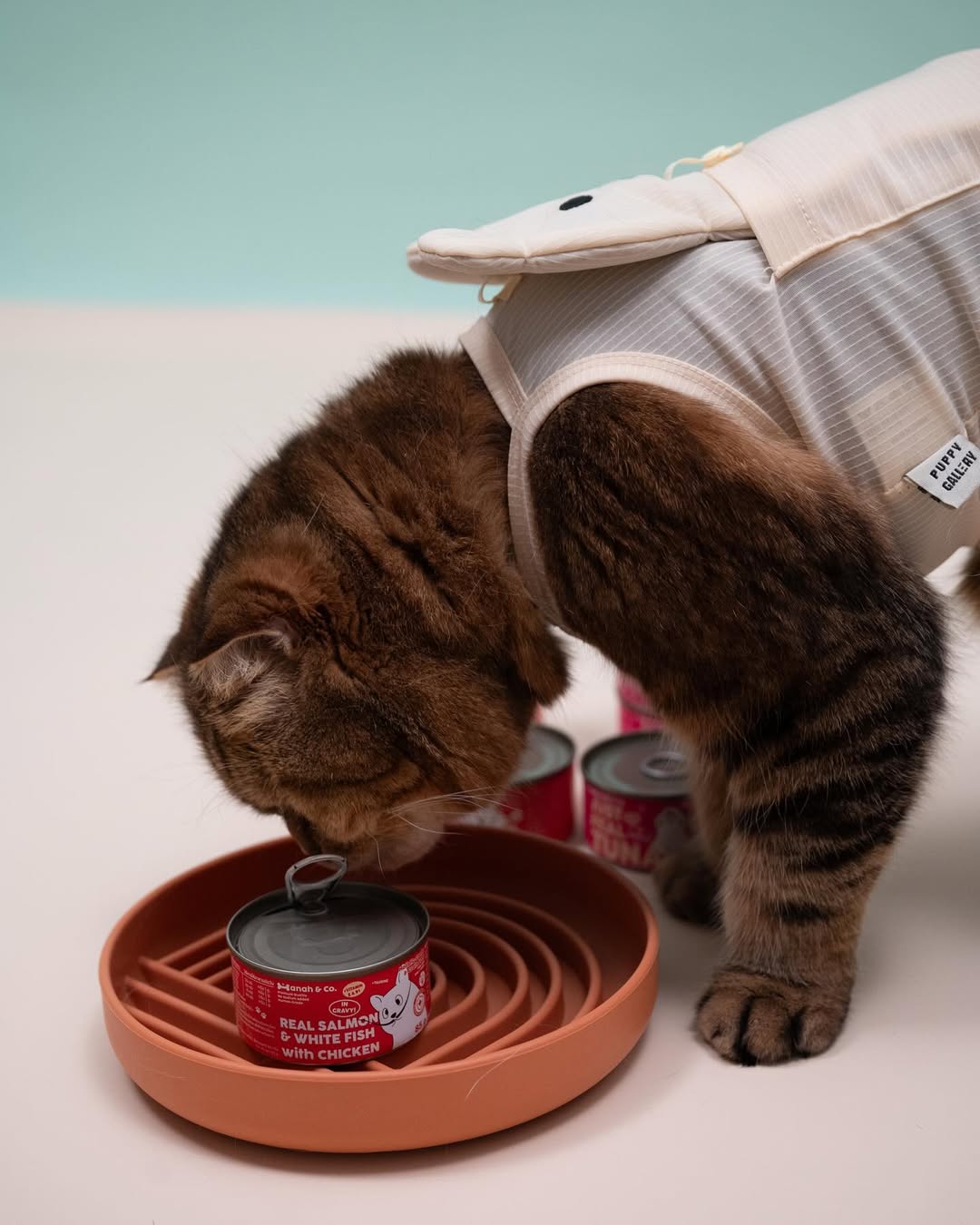 Hanah & Co - Real Salmon & White Fish with Chicken, 85g (for cats)