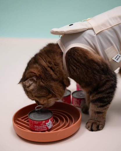 Hanah & Co - Real Salmon & White Fish with Chicken, 85g (for cats)