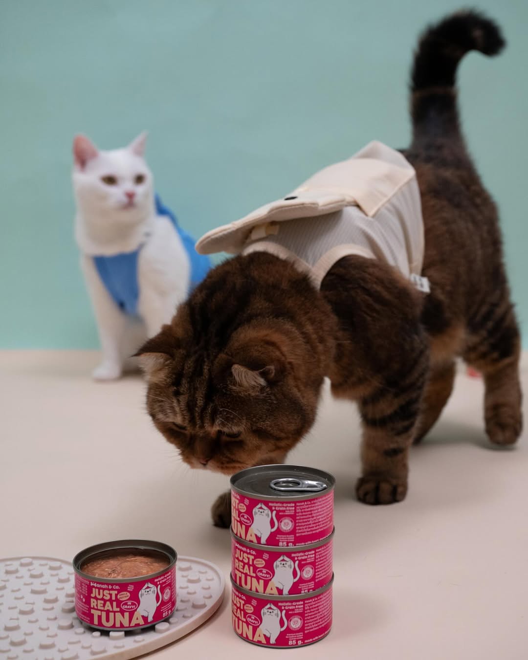 Hanah & Co - Real Salmon & White Fish with Chicken, 85g (for cats)