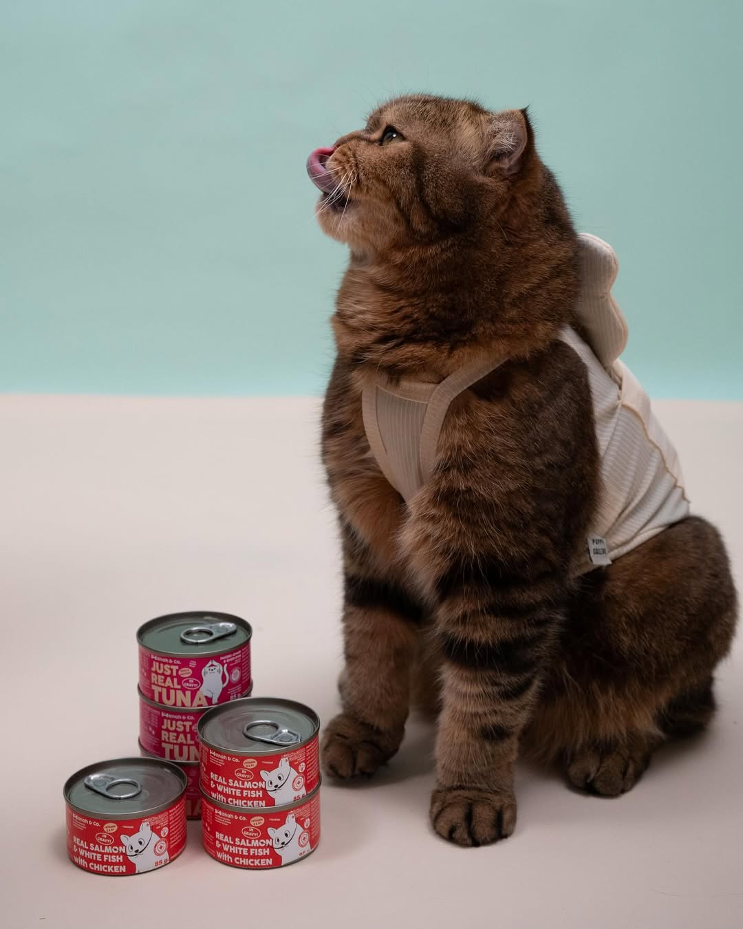 Hanah & Co - Real Salmon & White Fish with Chicken, 85g (for cats)