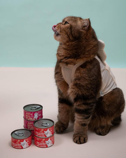 Hanah & Co - Real Salmon & White Fish with Chicken, 85g (for cats)